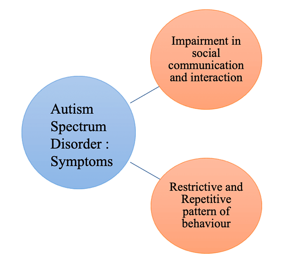 Unraveling the Spectrum: A Comprehensive Review of Autism Spectrum Disorder in India